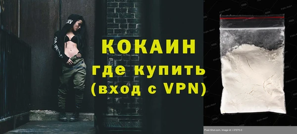 кокс Алексин