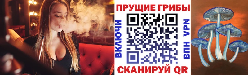 Псилоцибиновые грибы Psilocybine cubensis  omg как войти  Богданович 